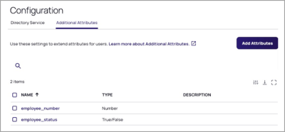 User Additional Attributes