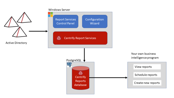 What Report Services Provides